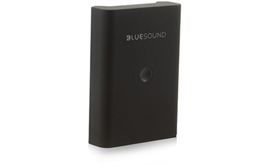 BLUESOUND Pulse Flex Akku Battery Pack BP100 (schwarz)