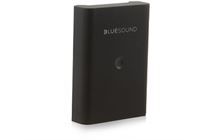 BLUESOUND PULSE Flex 2i + BP100 Battery -Streaming-Client